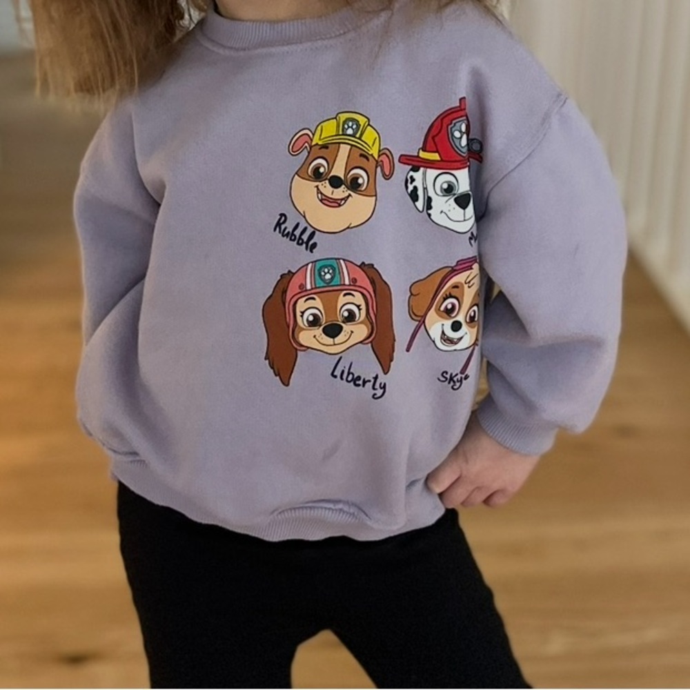 Zara x Paw Patrol 3T sweatshirt VGUC
